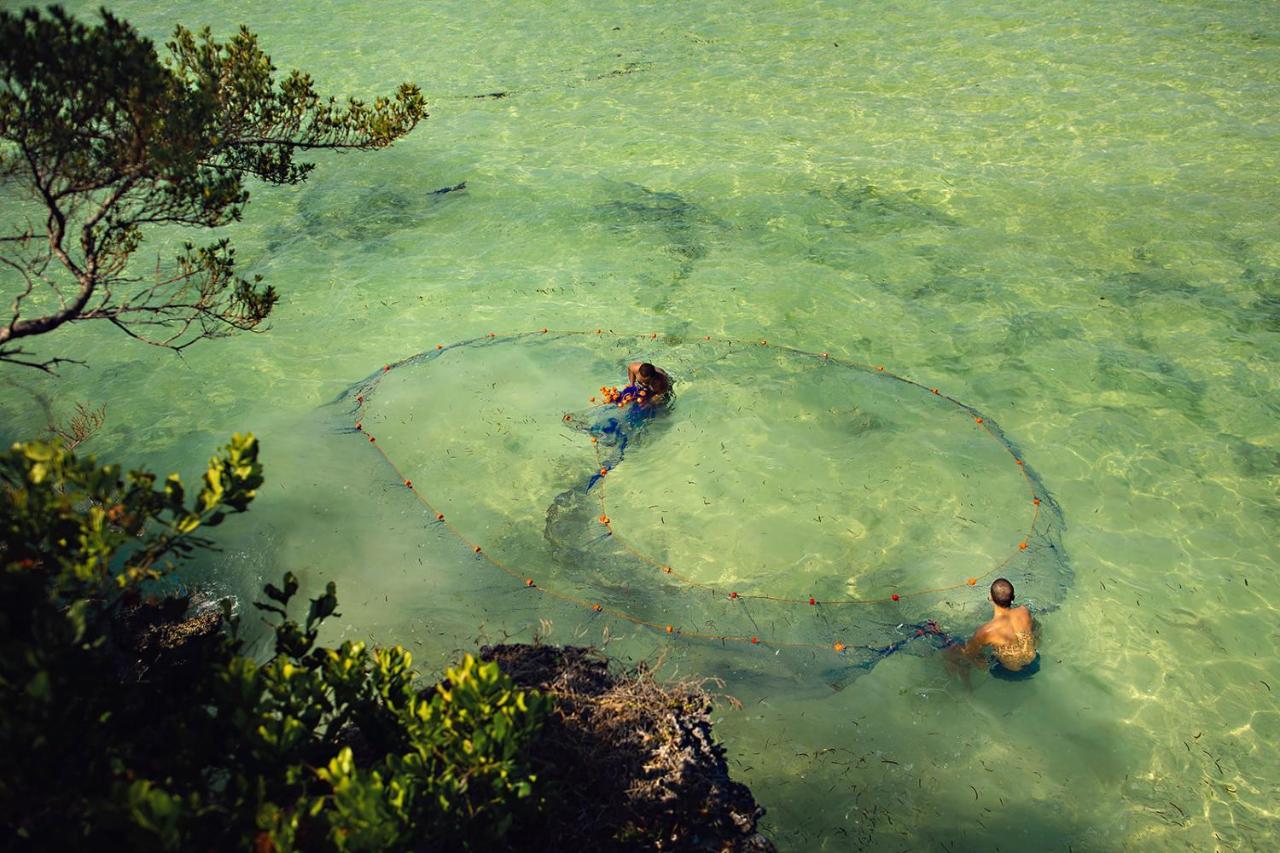 The Island - Pongwe Lodge (Adults Only) ภายนอก รูปภาพ