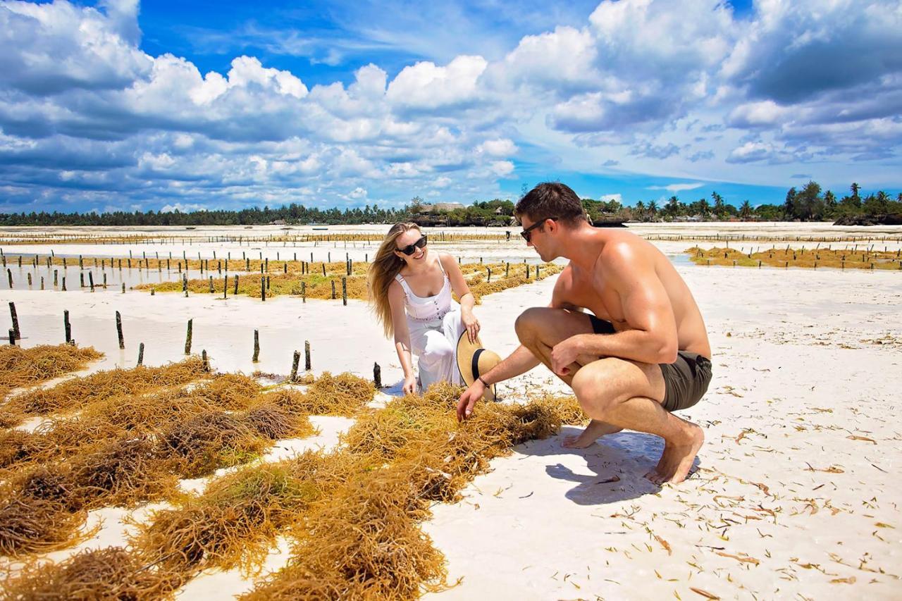 The Island - Pongwe Lodge (Adults Only) ภายนอก รูปภาพ